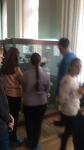 IMG-20181129-WA0043